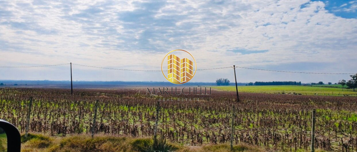 Campo Ref.160 - Campo agícola 160 ha en venta, Canelones