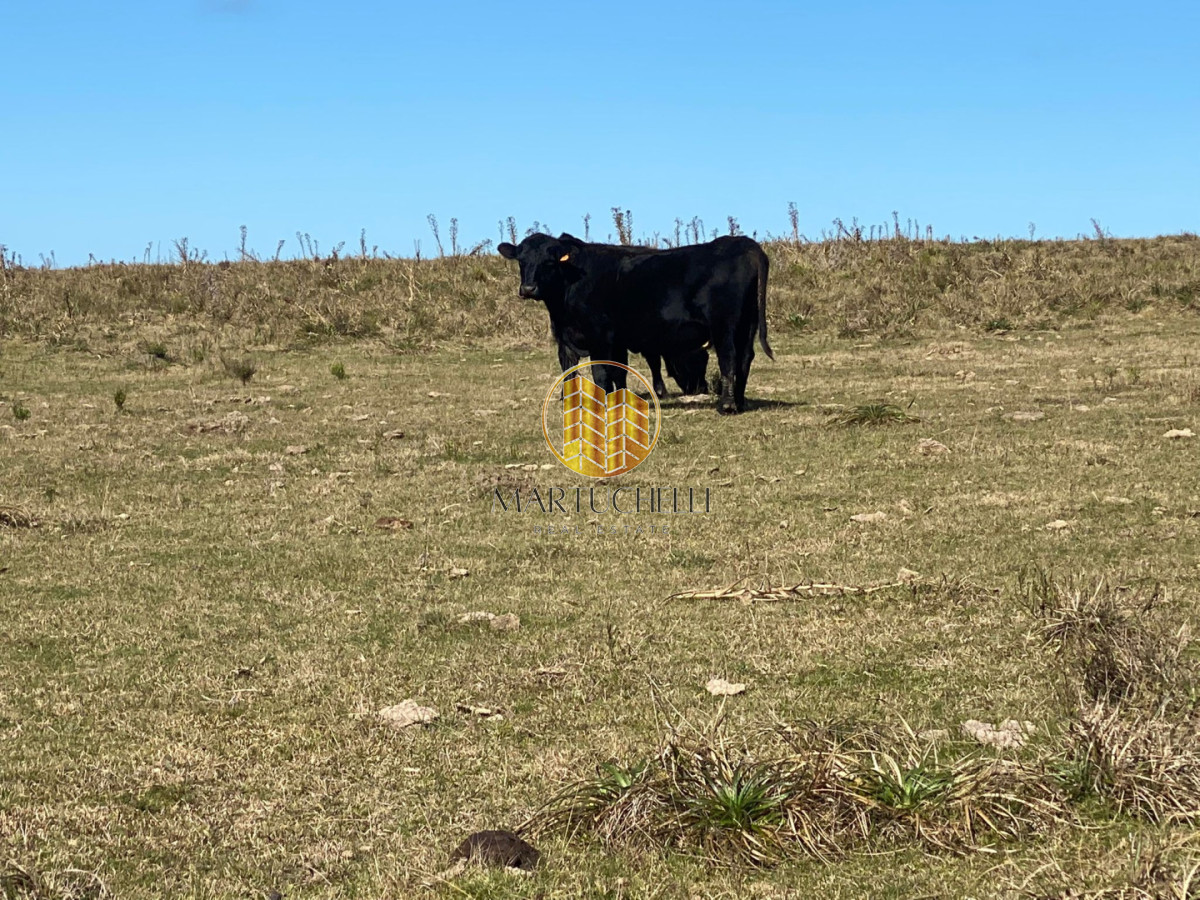 Campo Ref.167 - Campo en Jose Ignacio con vista a la laguna