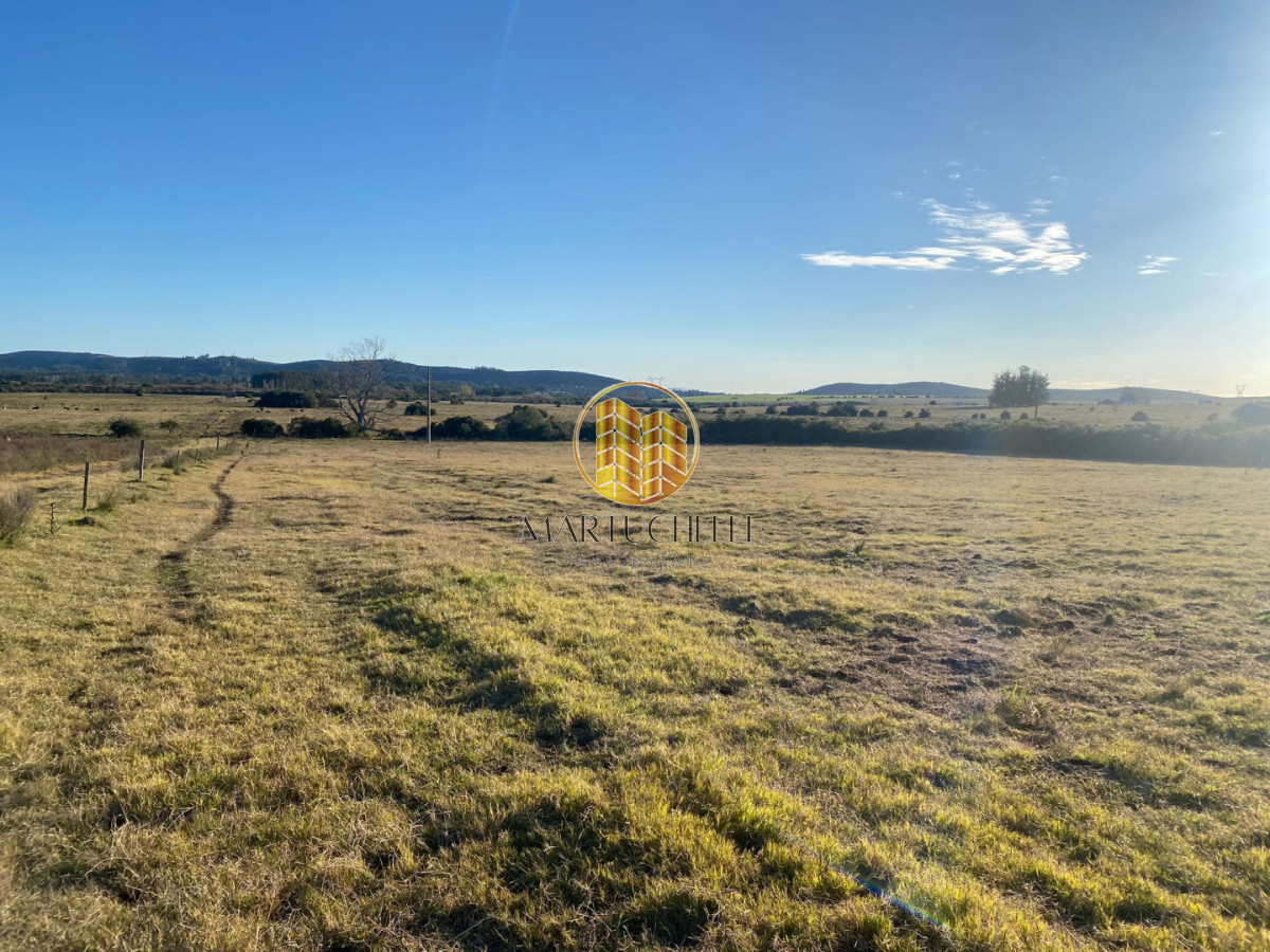 Campo Ref.159 - Campo de 54 ha en venta en San Carlos