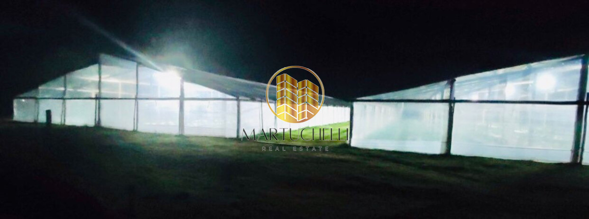 Campo Ref.160 - Campo agícola 160 ha en venta, Canelones