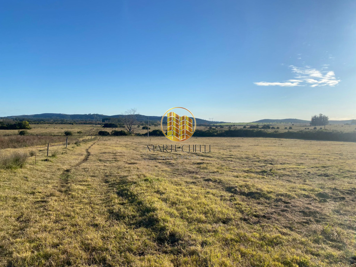Campo Ref.159 - Campo de 54 ha en venta en San Carlos
