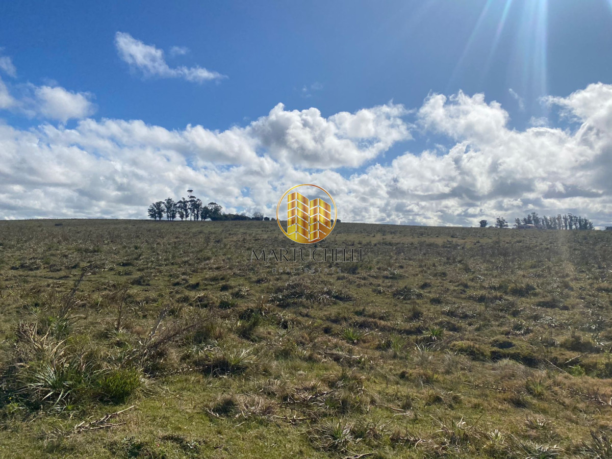 Campo Ref.167 - Campo en Jose Ignacio con vista a la laguna