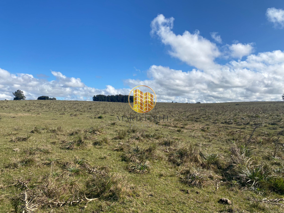 Campo Ref.167 - Campo en Jose Ignacio con vista a la laguna