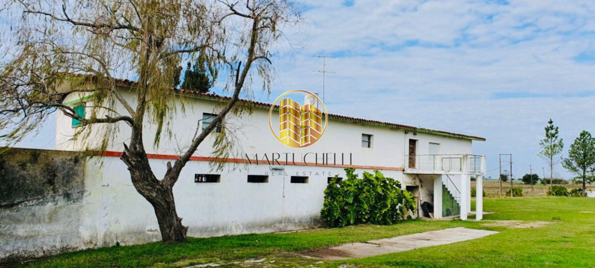 Campo Ref.160 - Campo agícola 160 ha en venta, Canelones