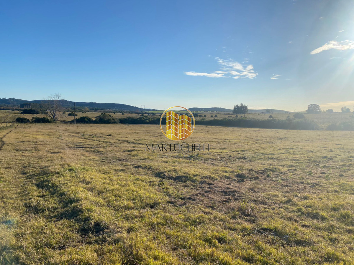 Campo Ref.159 - Campo de 54 ha en venta en San Carlos