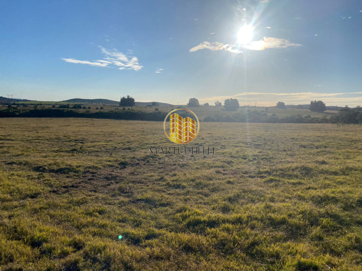 Campo Ref.159 - Campo de 54 ha en venta en San Carlos