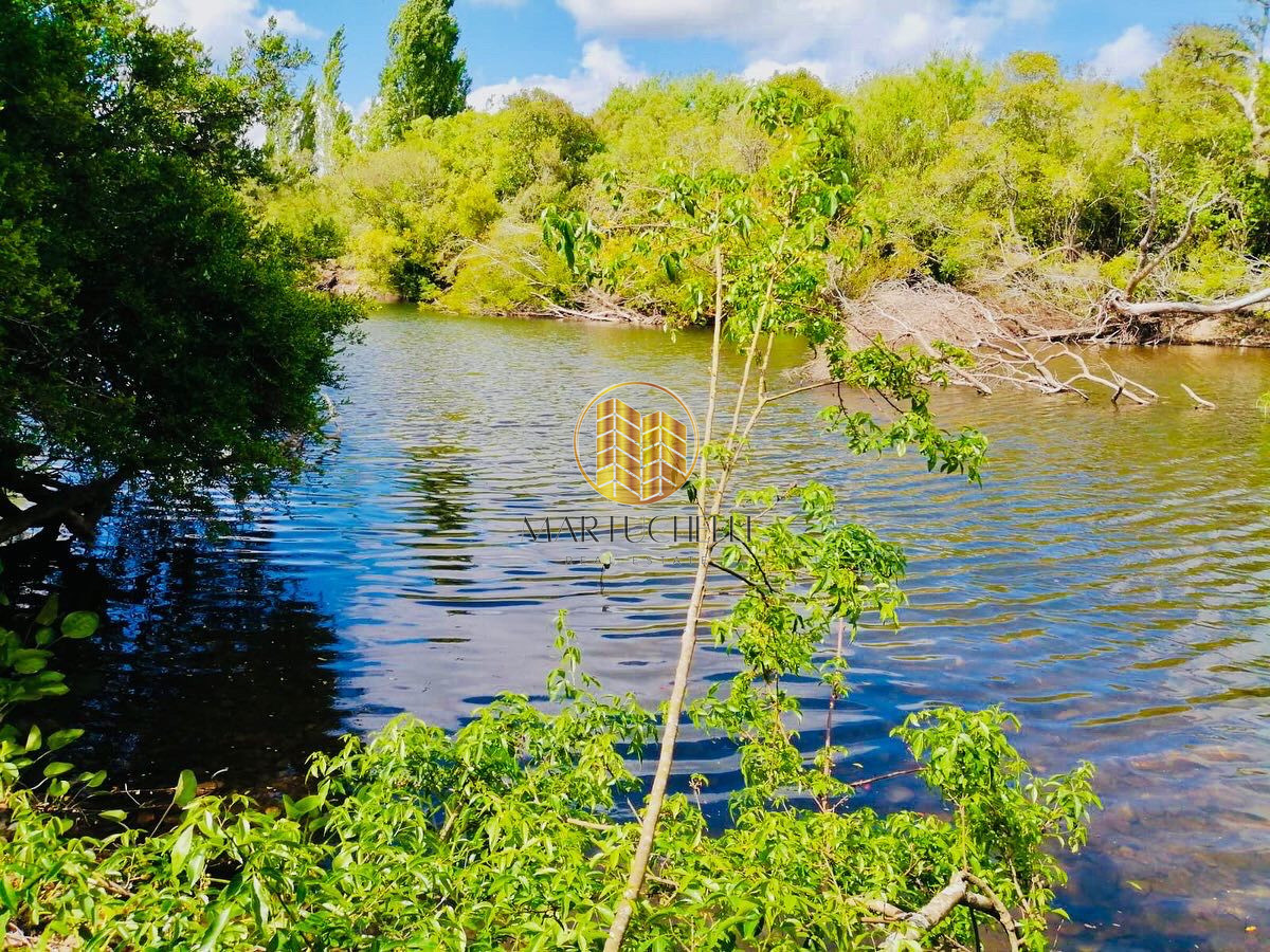 Campo Ref.162 - Campo agricola-ganadero de 22 hectáreas en venta, a 5 km de San Carlos