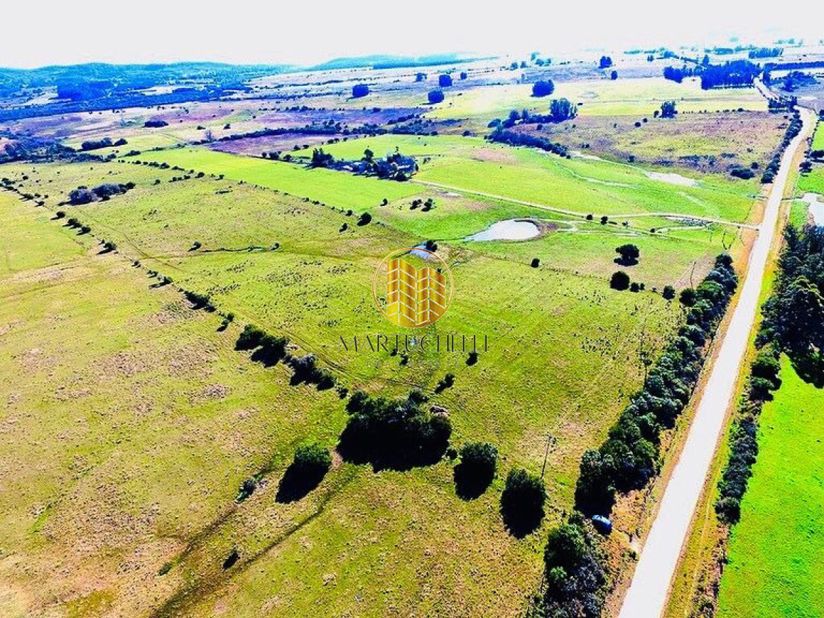 Campo Ref.162 - Campo agricola-ganadero de 22 hectáreas en venta, a 5 km de San Carlos