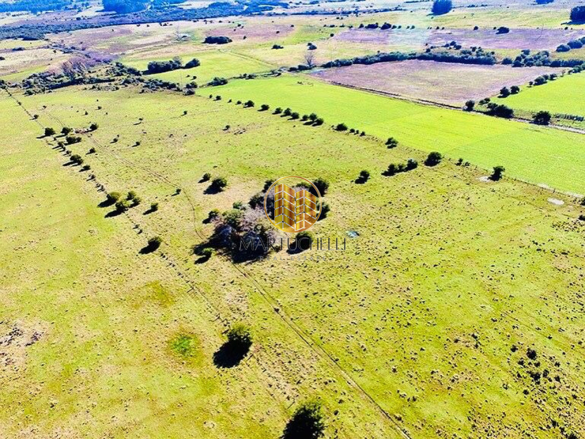 Campo Ref.162 - Campo agricola-ganadero de 22 hectáreas en venta, a 5 km de San Carlos