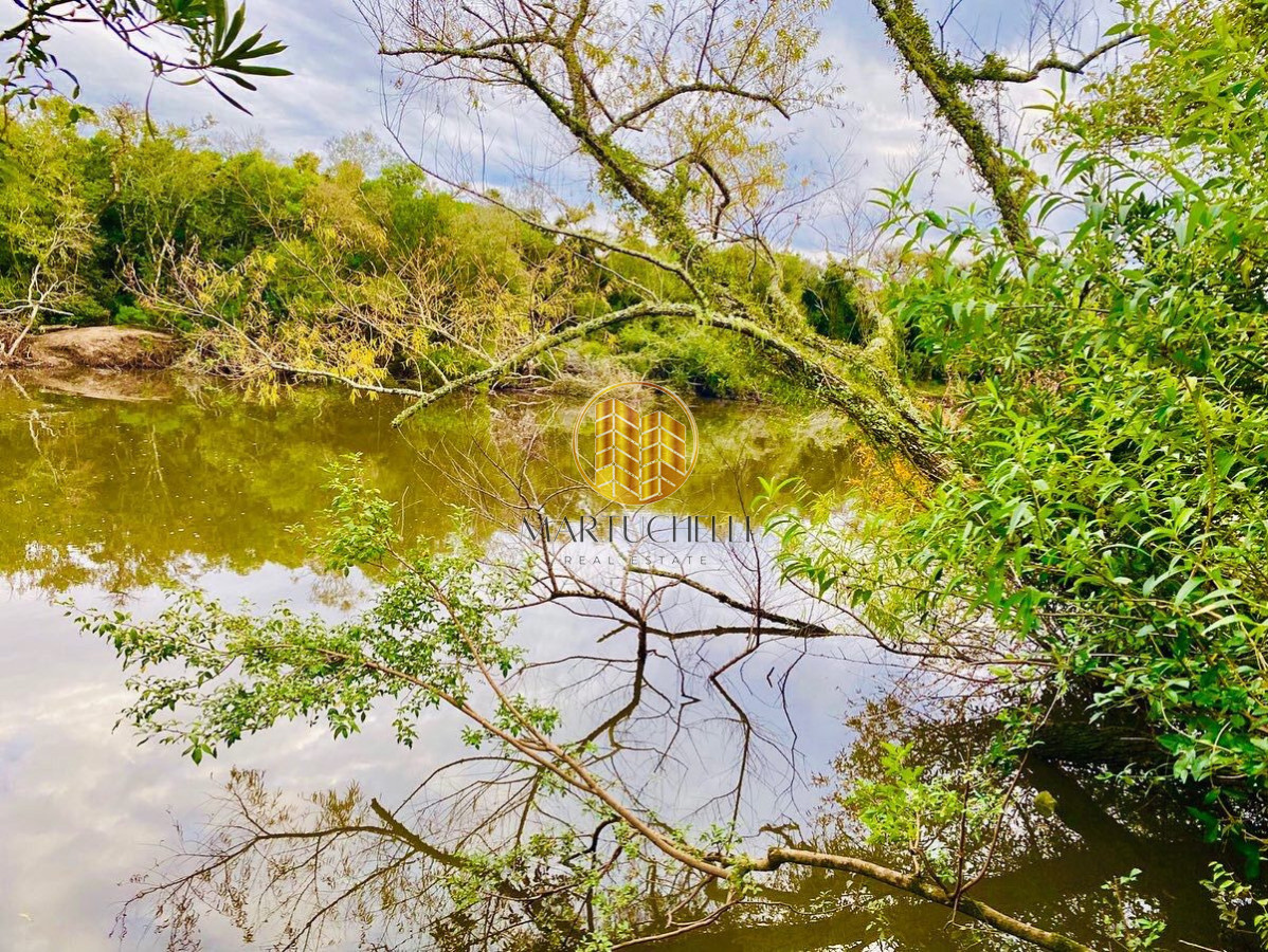 Campo Ref.162 - Campo agricola-ganadero de 22 hectáreas en venta, a 5 km de San Carlos