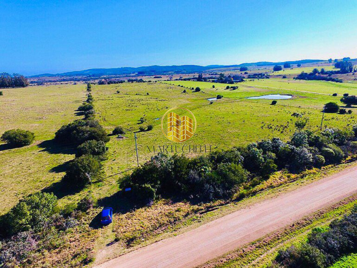 Campo Ref.162 - Campo agricola-ganadero de 22 hectáreas en venta, a 5 km de San Carlos