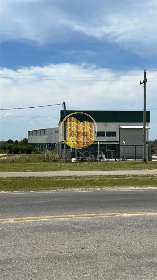 Local Comercial ID.173 - Galpón en alquiler - Ruta 39, San Carlos (alta visibilidad)