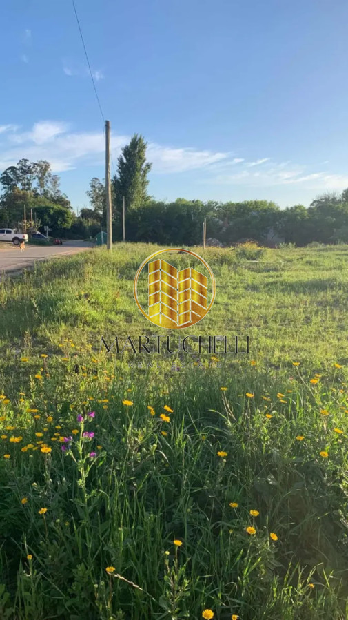 Terreno ID.249 - Terreno en Venta, en San Carlos