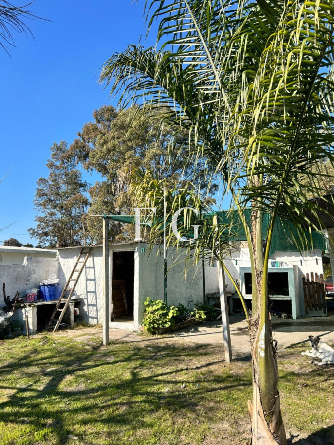 Casa ID.914 - Casa en el Pinar