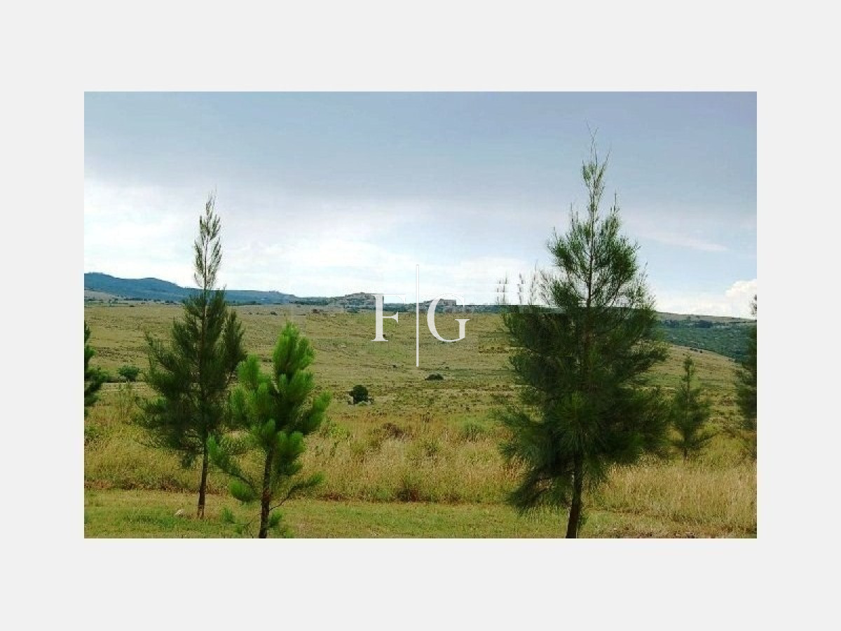 Chacra ID.666 - Chacra, Venta ,Ruta 39 Caracoles Carapé,Maldonado