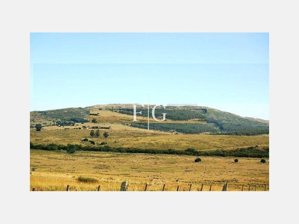 Chacra ID.666 - Chacra, Venta ,Ruta 39 Caracoles Carapé,Maldonado
