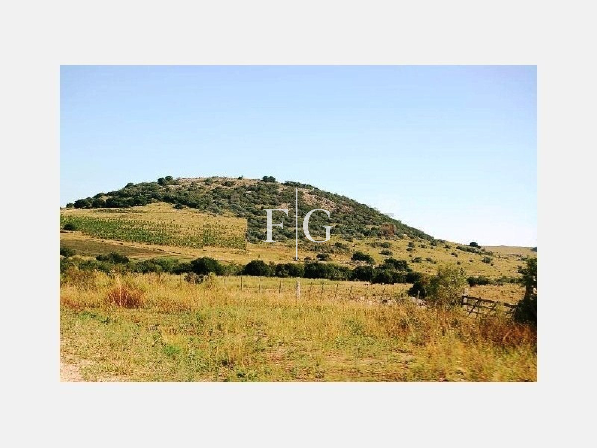 Chacra ID.666 - Chacra, Venta ,Ruta 39 Caracoles Carapé,Maldonado
