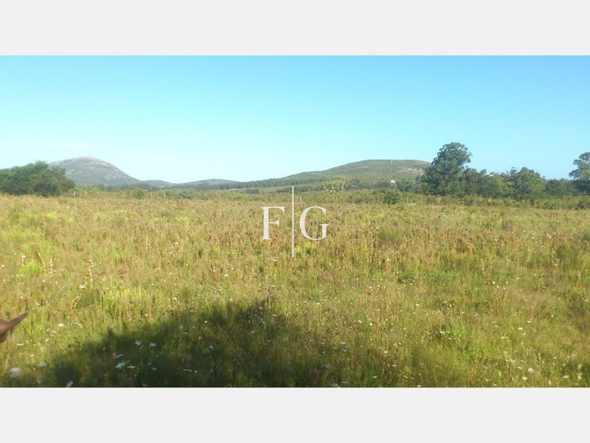Chacra ID.679 - 