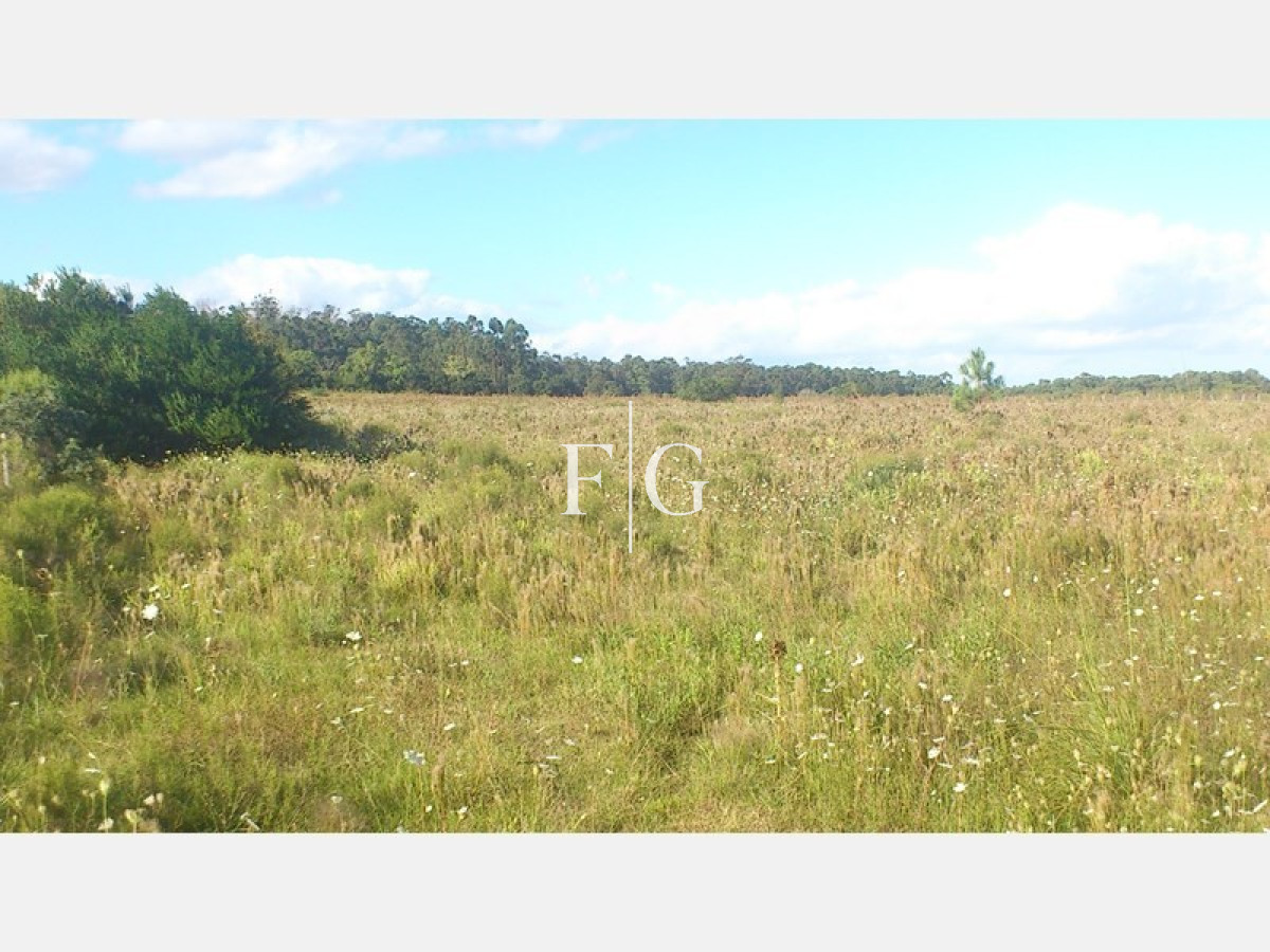 Chacra ID.679 - 