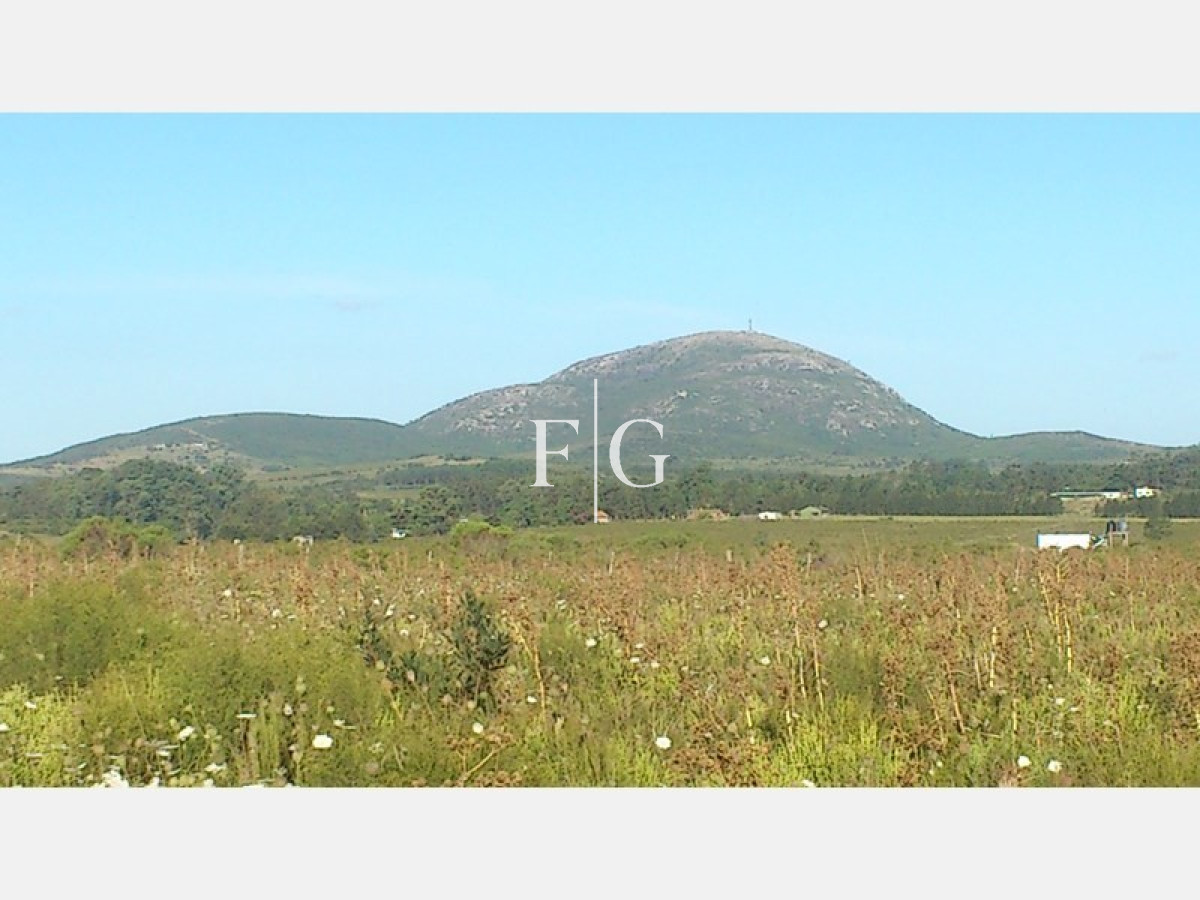 Chacra ID.679 - 