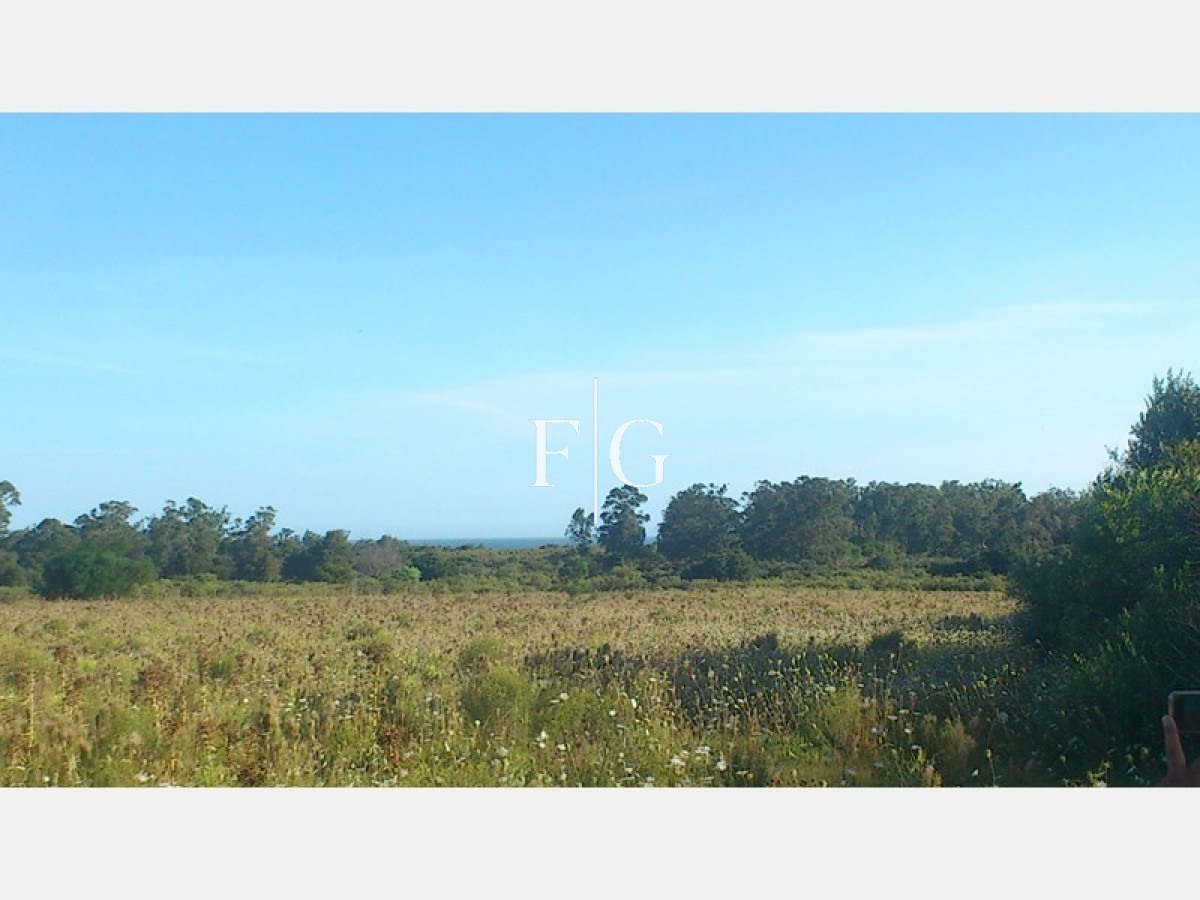 Chacra ID.679 - 