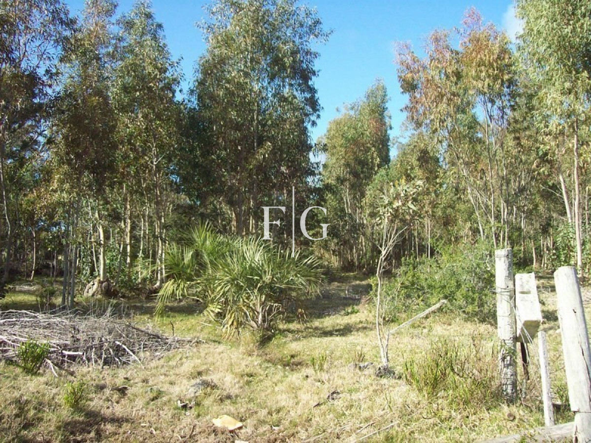 Chacra ID.722 - 