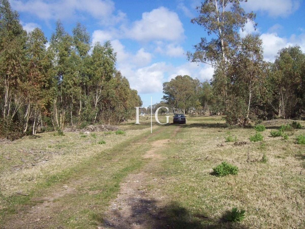 Chacra ID.722 - 