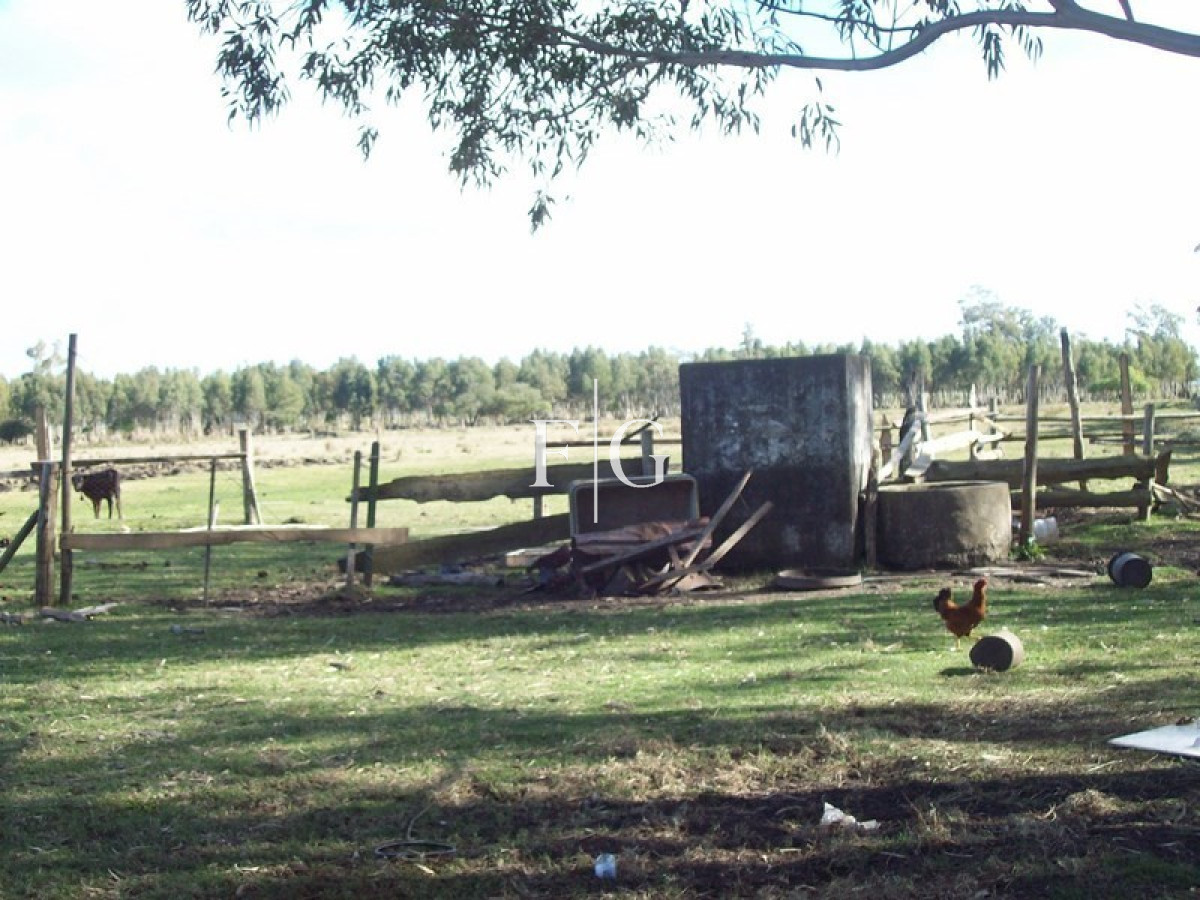 Chacra ID.722 - 