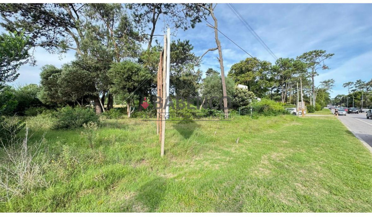 Bo. Córdoba - GoPunta - Portal Inmobiliario de Punta del Este - Maldonado