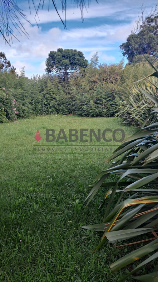 Balneario Buenos Aires - GoPunta - Portal Inmobiliario de Punta del Este - Maldonado