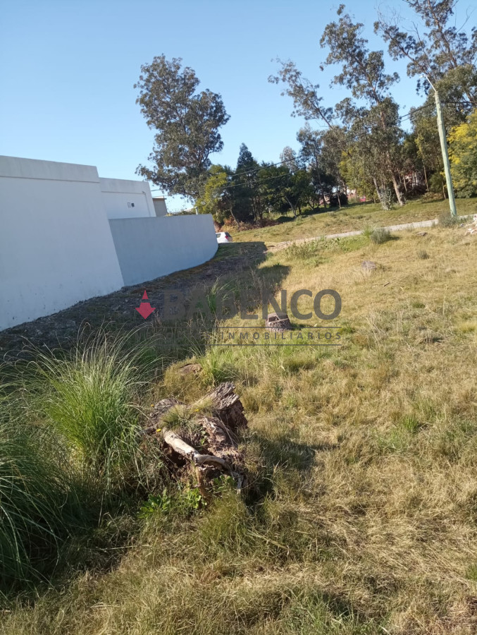 Altos de la Laguna - GoPunta - Portal Inmobiliario de Punta del Este - Maldonado