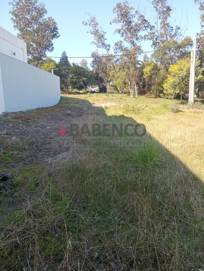 Altos de la Laguna - GoPunta - Portal Inmobiliario de Punta del Este - Maldonado