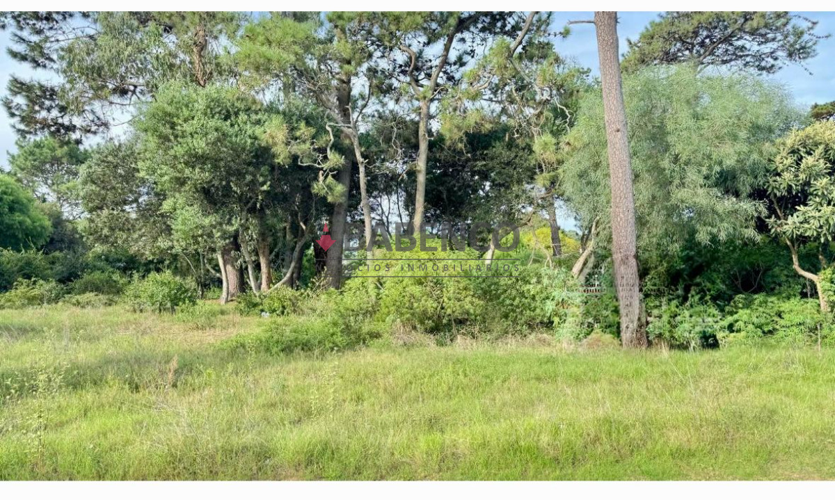 Bo. Córdoba - GoPunta - Portal Inmobiliario de Punta del Este - Maldonado