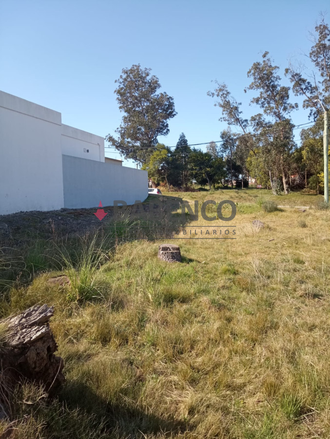 Altos de la Laguna - GoPunta - Portal Inmobiliario de Punta del Este - Maldonado