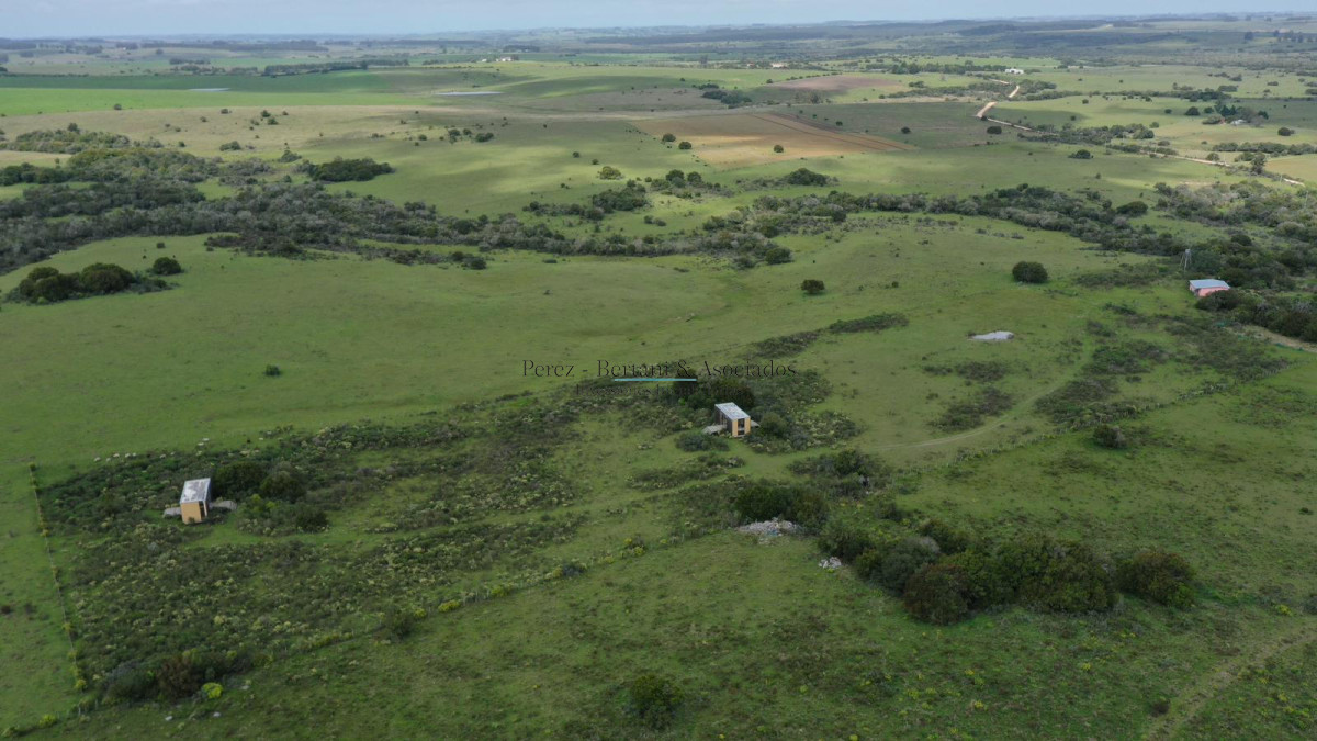 Chacra ID.1155 - VENTA- Chacra 5 Has- Josè Ignacio- Maldonado
