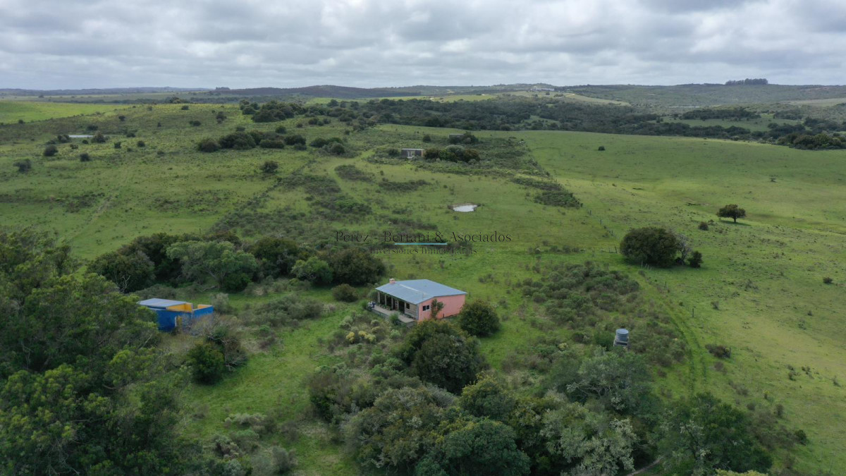 Chacra ID.1155 - VENTA- Chacra 5 Has- Josè Ignacio- Maldonado