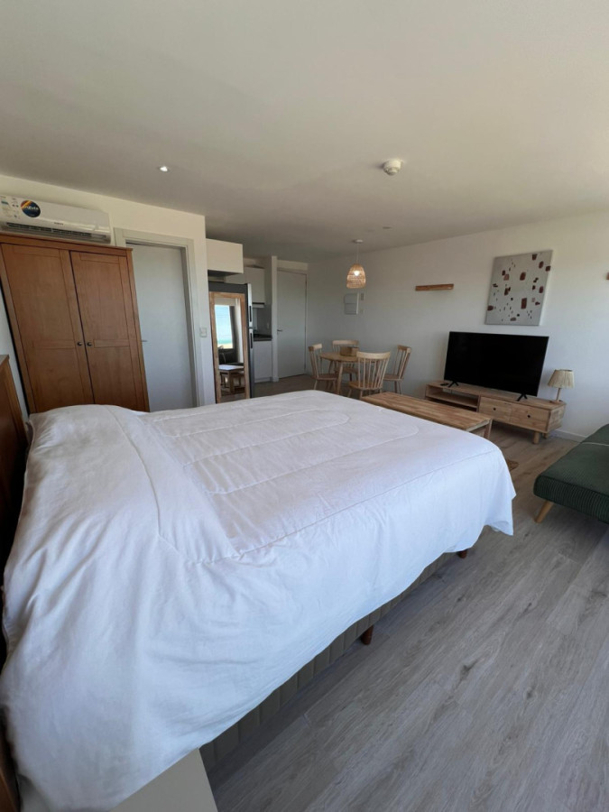 Apartamento ID.2044/ - Punta Ballena. Syrah Premium Monoambiente