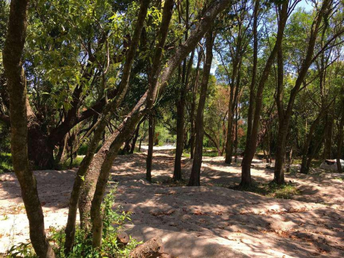 Chacra ID.2039 - Chacra en Boca del Rosario. Fondeadero enfrente a Buenos Aires
