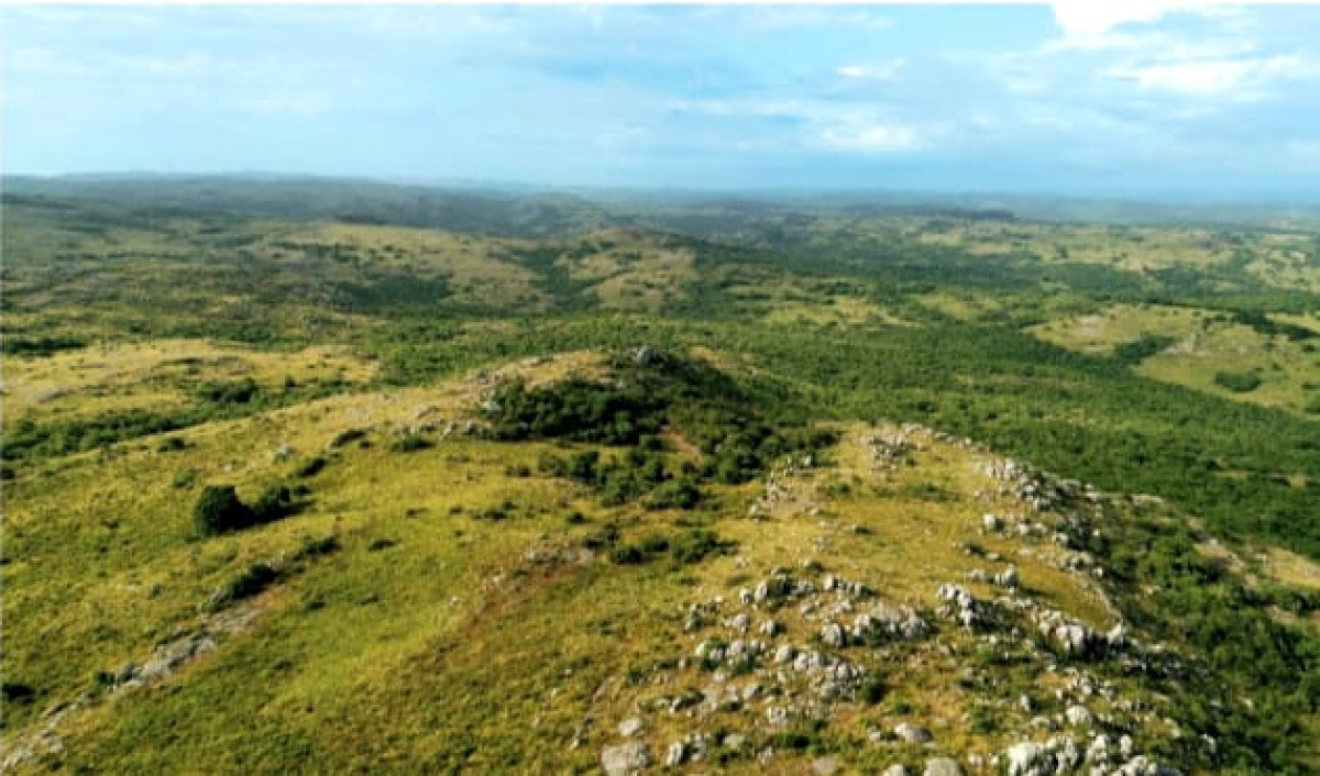 Chacra ID.1350 - Senderos de Aiguá