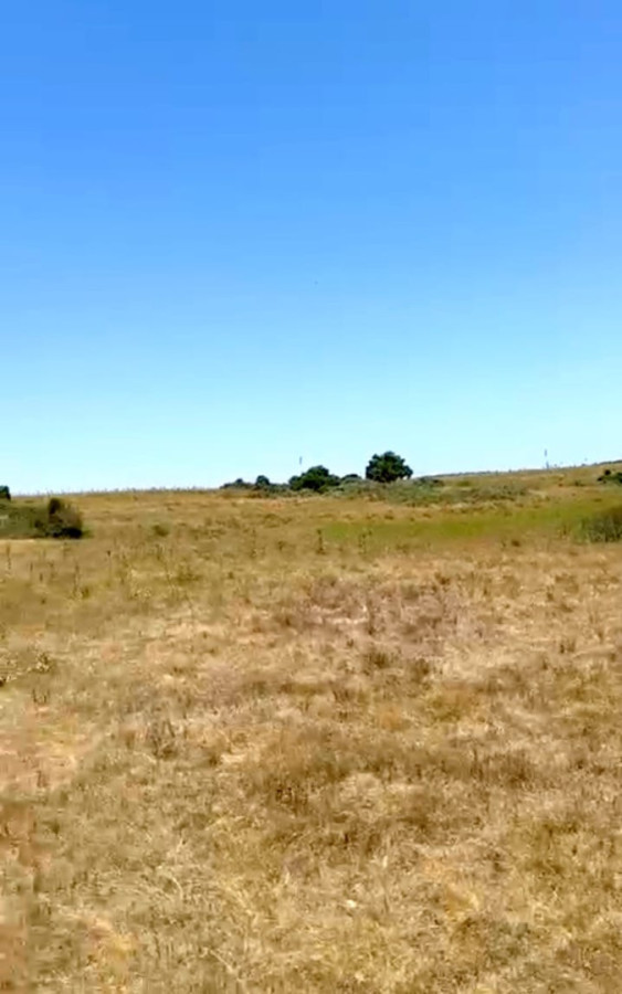 Chacra ID.1728 - Chacra 3 hectáreas sobre laguna Garzón