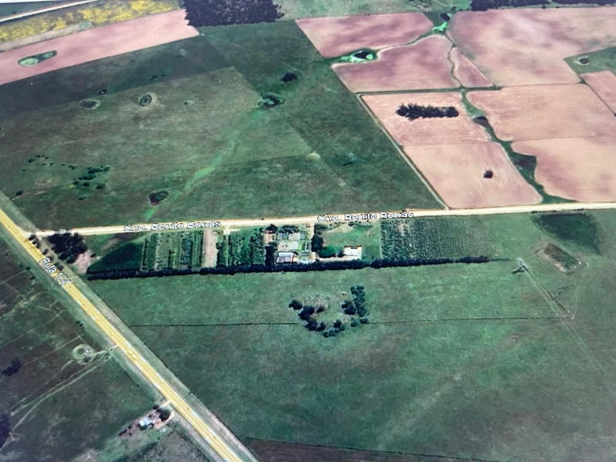 Chacra ID.1738 - VENTA- Chacra 5 Has- Ruta 104