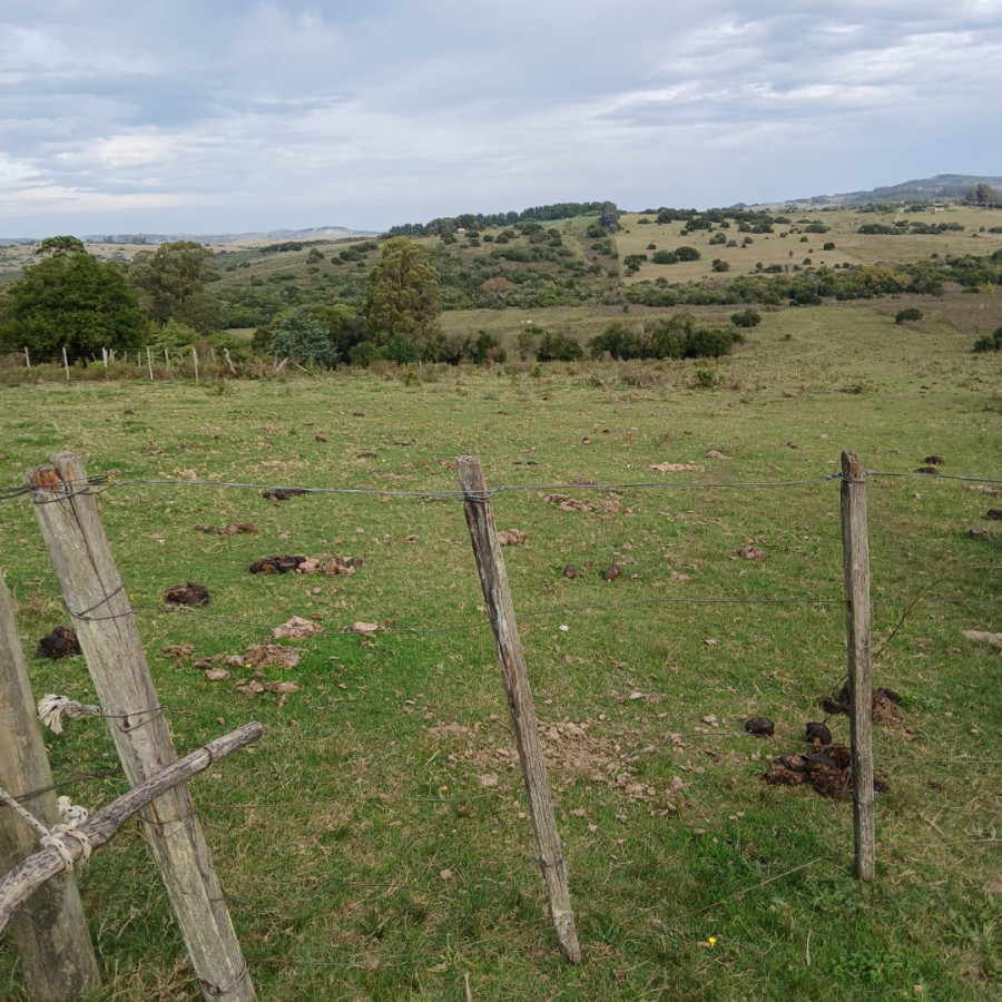 Chacra ID.1528 - Chacra 6 hectáreas Pueblo Edén
