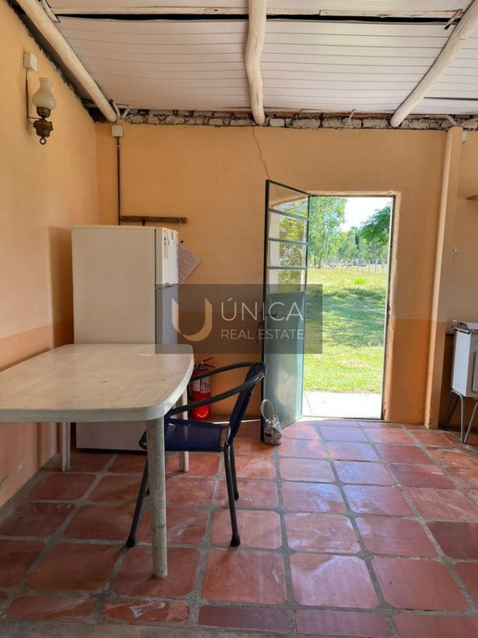 Chacra ID.1694 - Chacra en San Gregorio de Polanco