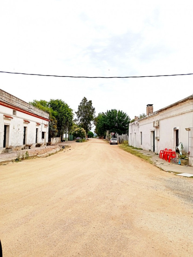 Chacra ID.1703 - Garzon 15 hectáreas