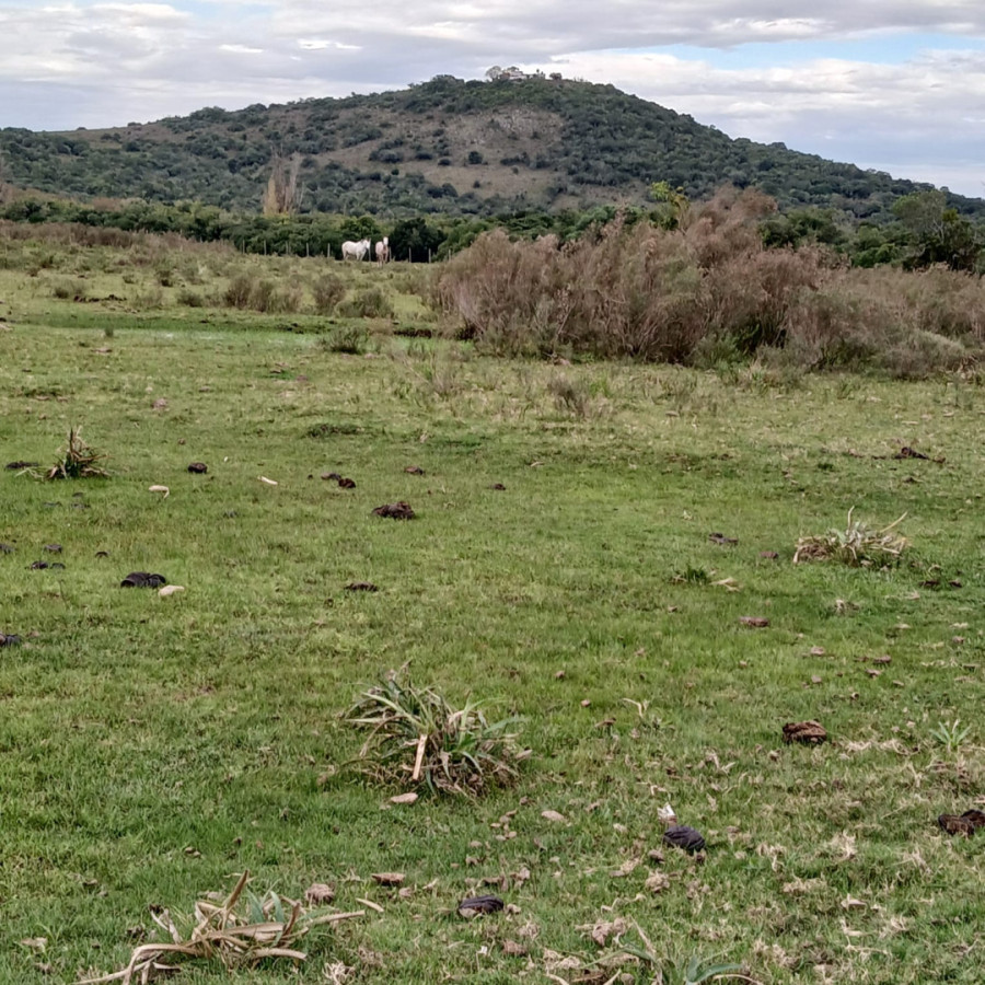 Chacra ID.1528 - Chacra 6 hectáreas Pueblo Edén
