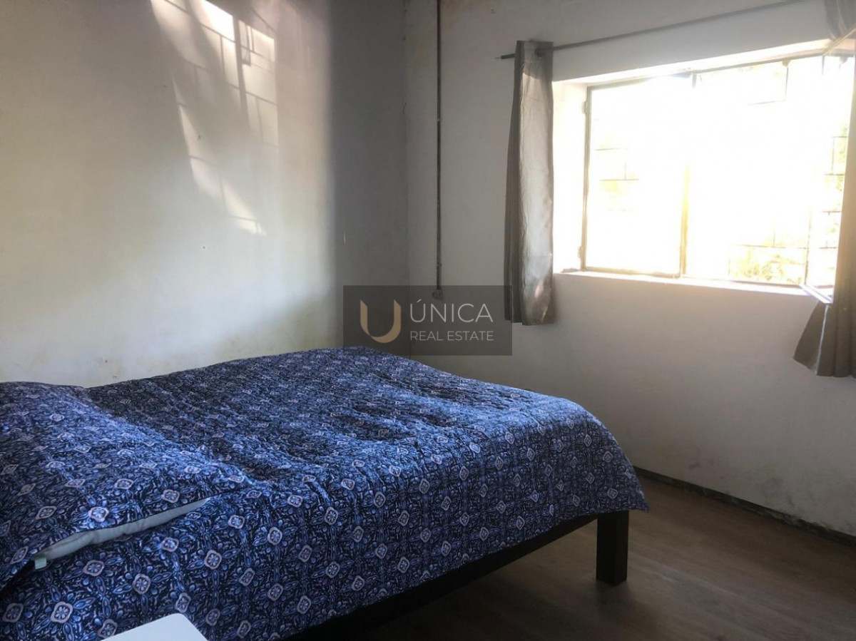 Chacra ID.1694 - Chacra en San Gregorio de Polanco