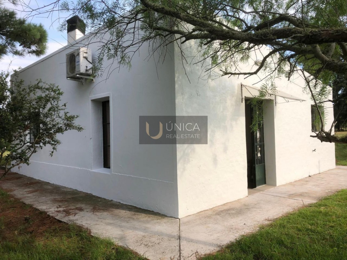 Chacra ID.1694 - Chacra en San Gregorio de Polanco