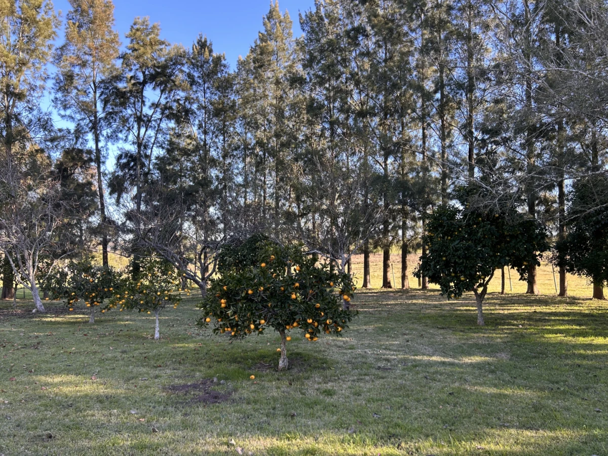 Chacra ID.2105 - Chacra 9 dormitorios Sierras de Lavalleja