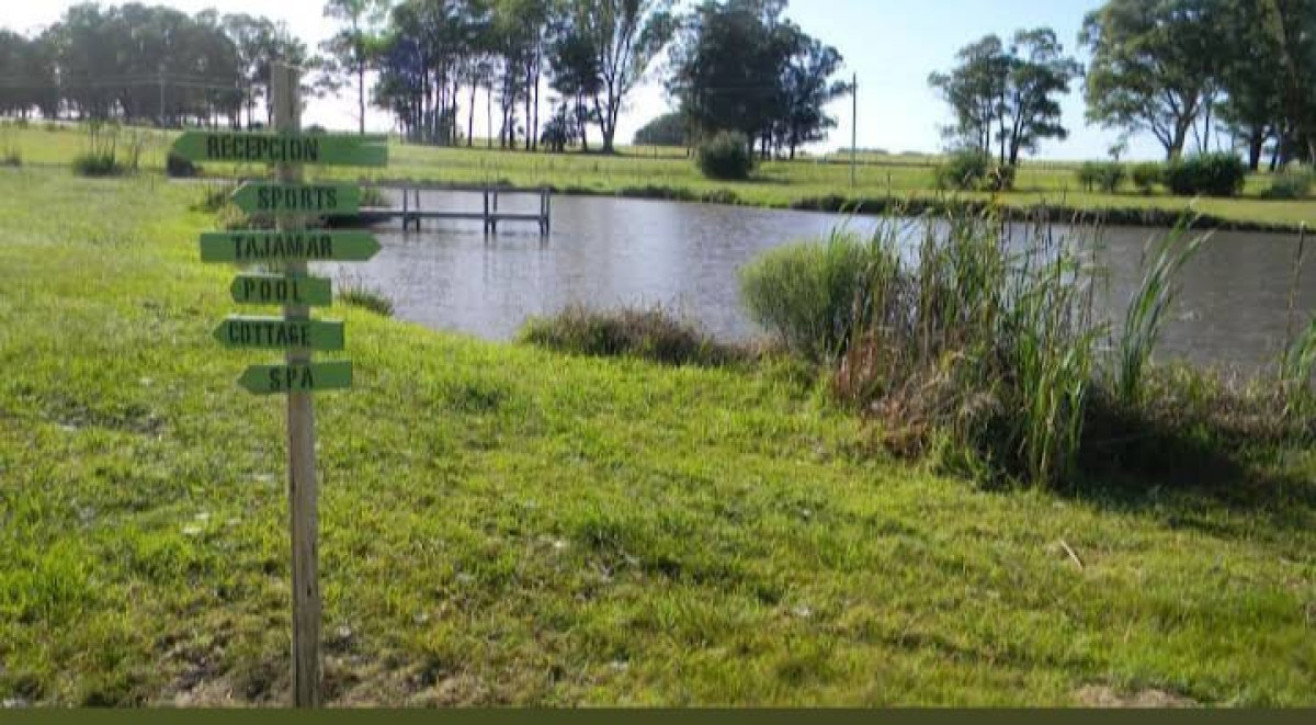 Chacra ID.1488 - Chacra de 12 hectáreas y 6 suites en José Ignacio. Oportunidad única!!