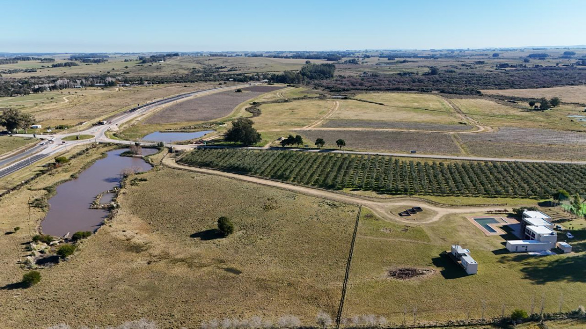 Chacra ID.1488 - Chacra de 12 hectáreas y 6 suites en José Ignacio. Oportunidad única!!